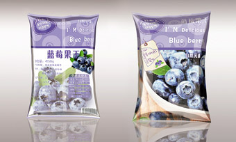 自然元素蓝莓果干包装袋平面设计作品