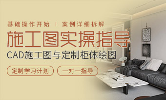 CADʩ��ͼʵ����ȫ�ݹ������ָ��